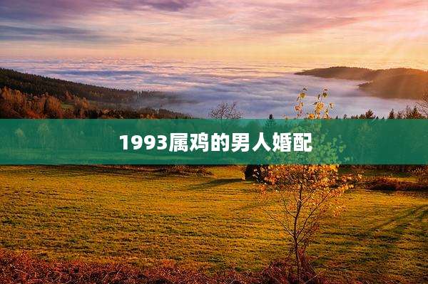 1993属鸡的男人婚配