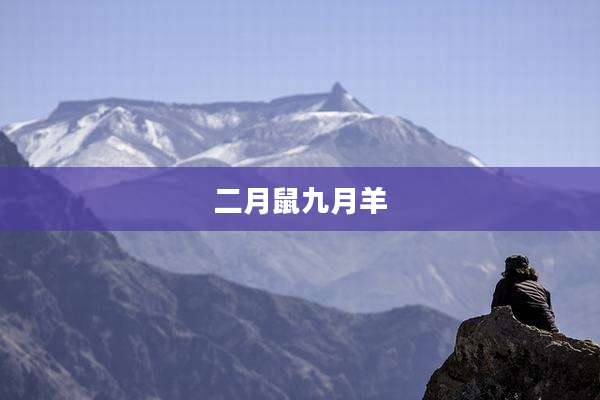 二月鼠九月羊