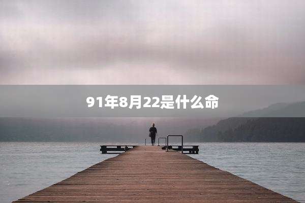 91年8月22是什么命