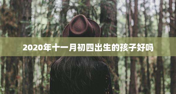 2020年十一月初四出生的孩子好吗