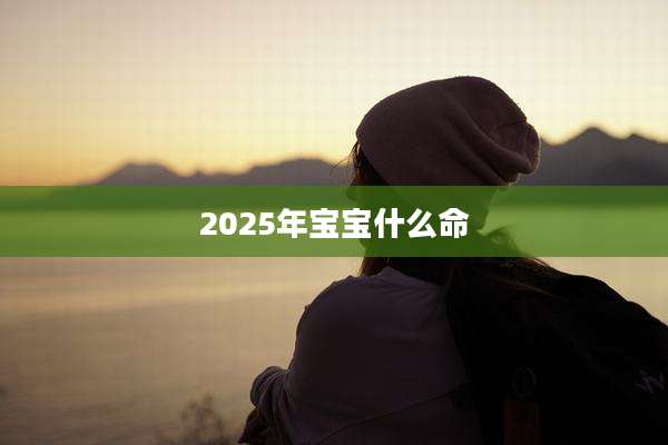 2025年宝宝什么命