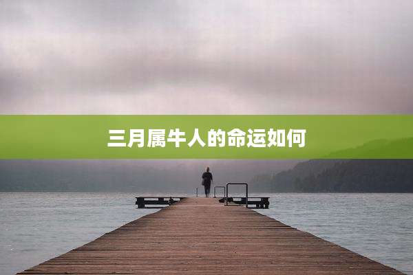 三月属牛人的命运如何
