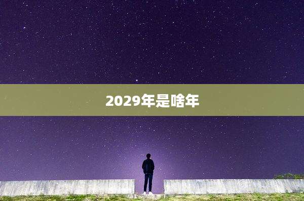 2029年是啥年
