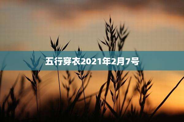 五行穿衣2021年2月7号