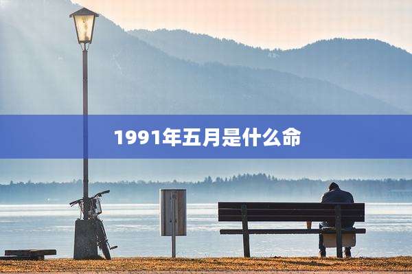1991年五月是什么命