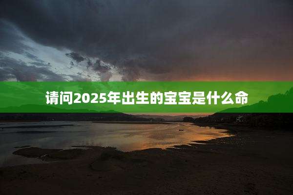请问2025年出生的宝宝是什么命