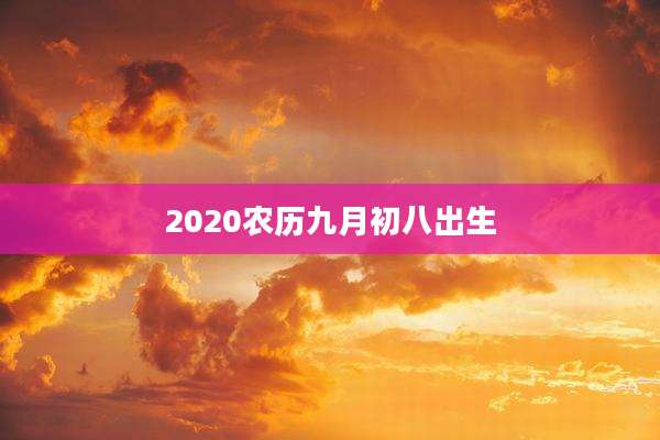 2020农历九月初八出生