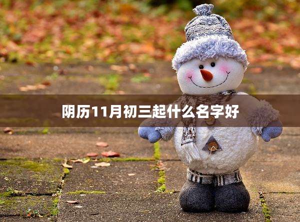 阴历11月初三起什么名字好