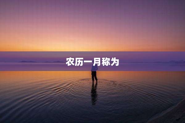 农历一月称为