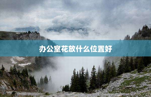 办公室花放什么位置好