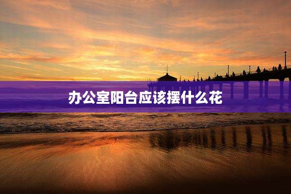 办公室阳台应该摆什么花