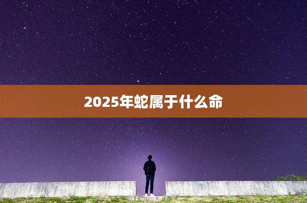 2025年蛇属于什么命