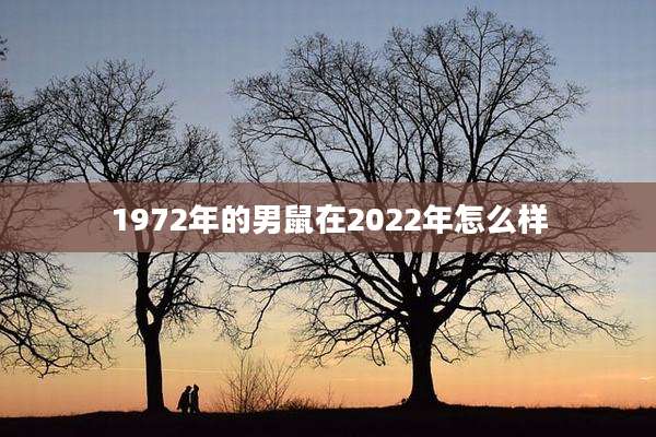 1972年的男鼠在2022年怎么样