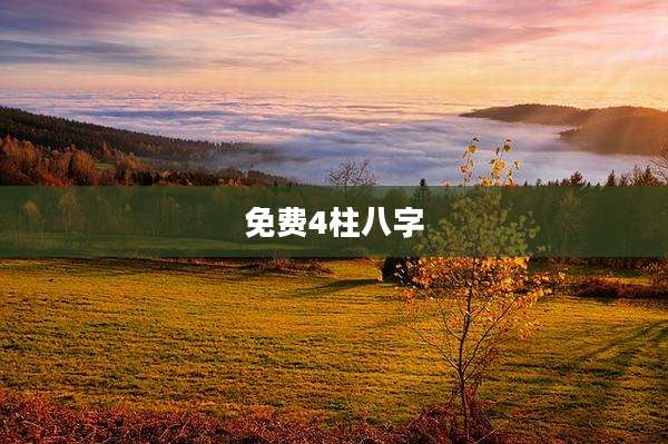 免费4柱八字