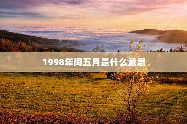 1998年闰五月是什么意思