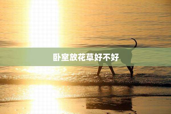 卧室放花草好不好