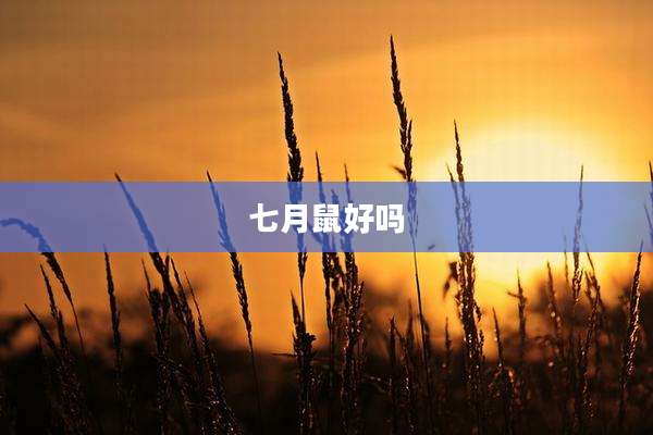 七月鼠好吗