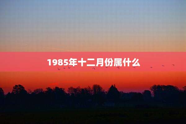 1985年十二月份属什么