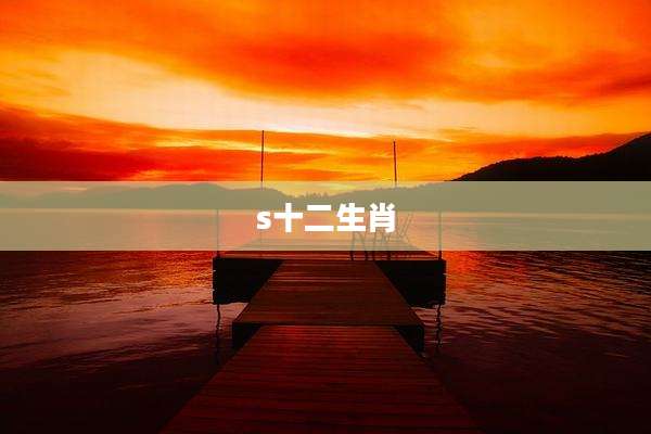 s十二生肖