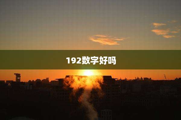192数字好吗