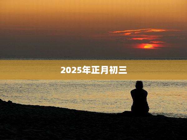 2025年正月初三