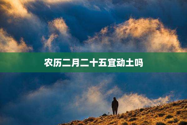 农历二月二十五宜动土吗