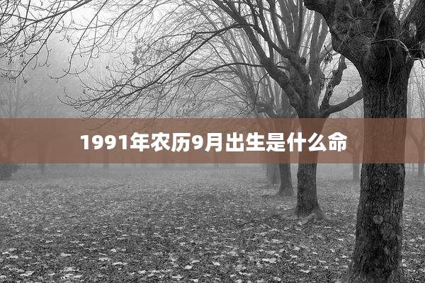 1991年农历9月出生是什么命