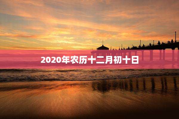 2020年农历十二月初十日