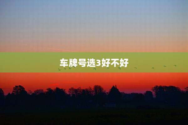 车牌号选3好不好
