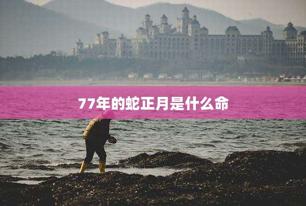 77年的蛇正月是什么命