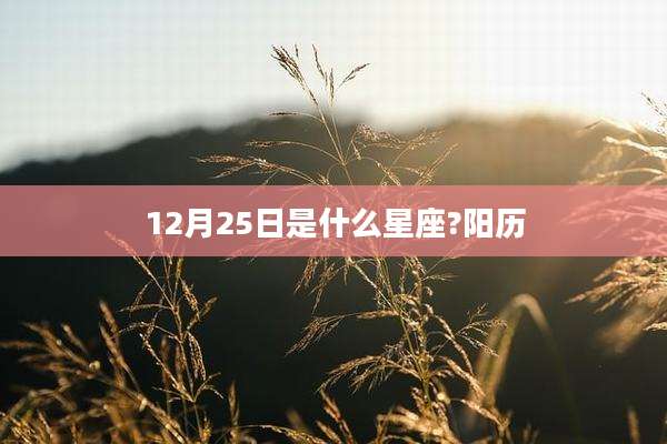 12月25日是什么星座?阳历