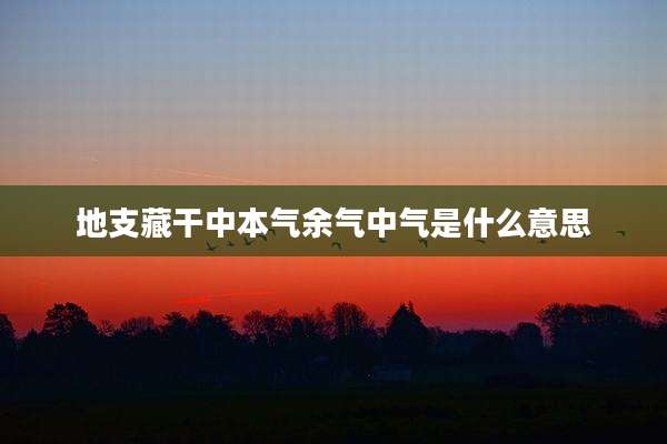 地支藏干中本气余气中气是什么意思