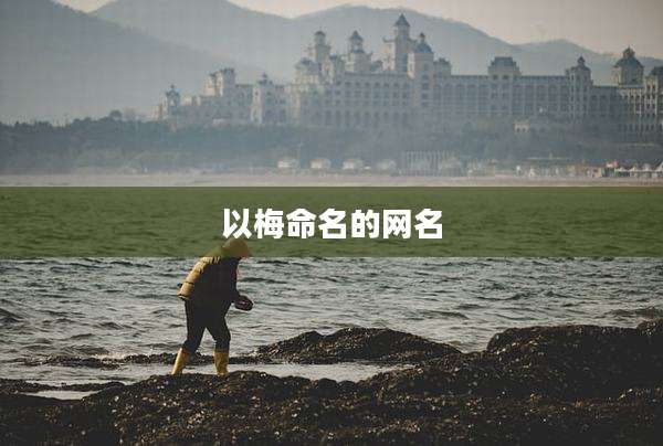 以梅命名的网名