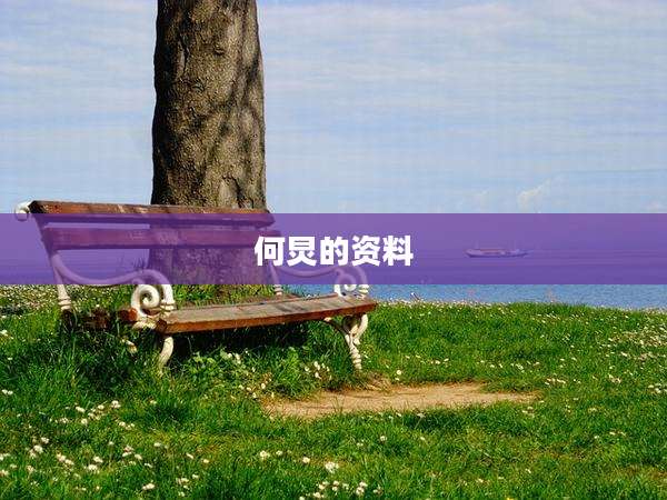 何炅的资料