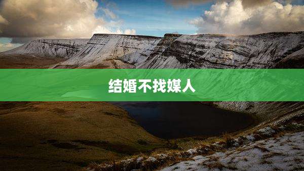 结婚不找媒人