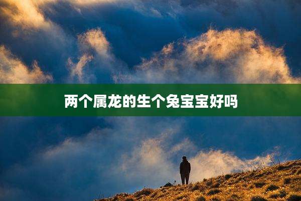 两个属龙的生个兔宝宝好吗