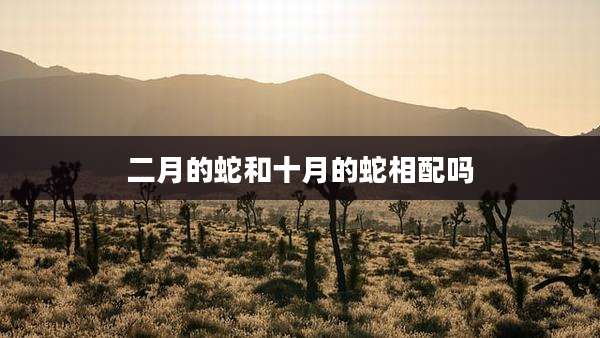 二月的蛇和十月的蛇相配吗