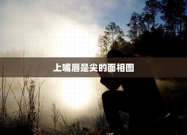 上嘴唇是尖的面相图