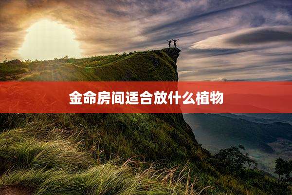 金命房间适合放什么植物