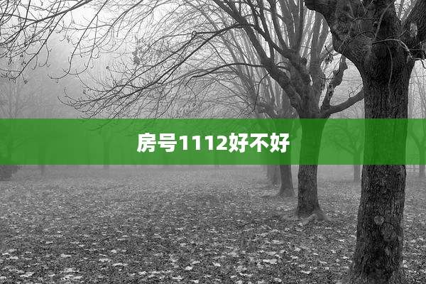 房号1112好不好