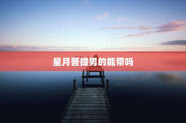 星月菩提男的能带吗