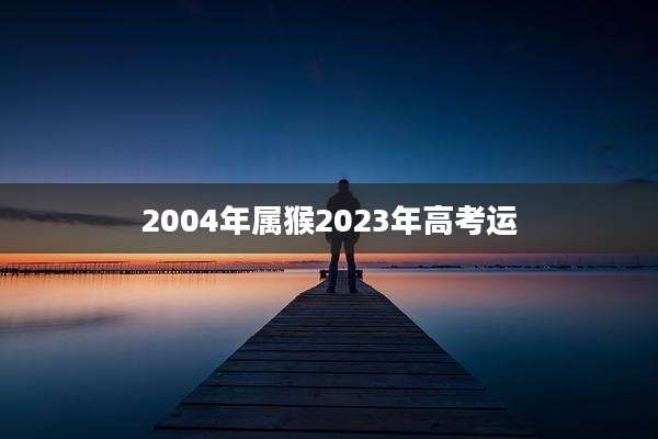 2004年属猴2023年高考运