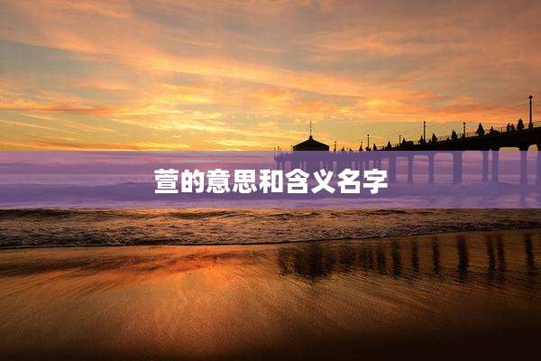 萱的意思和含义名字