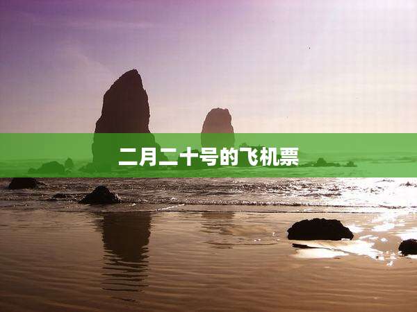 二月二十号的飞机票