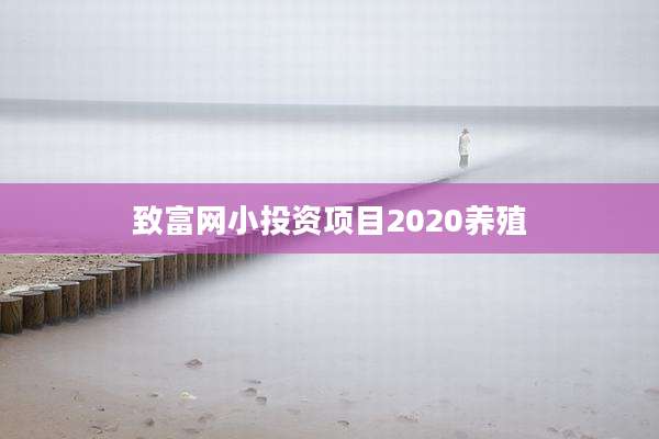 致富网小投资项目2020养殖