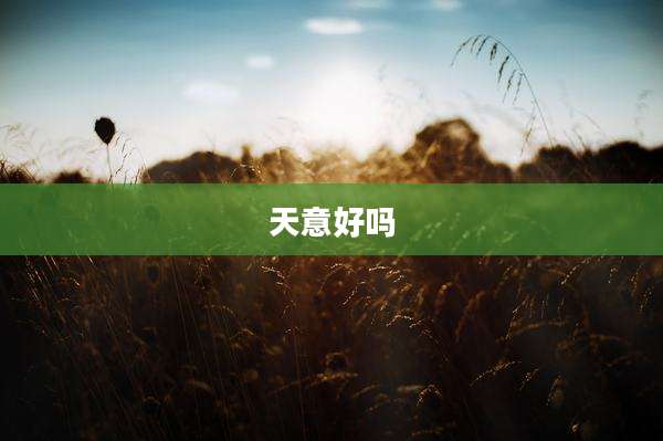 天意好吗