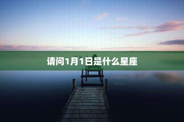 请问1月1日是什么星座