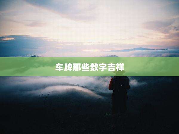 车牌那些数字吉祥