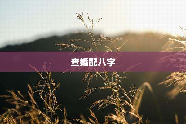 查婚配八字