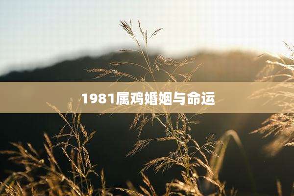 1981属鸡婚姻与命运